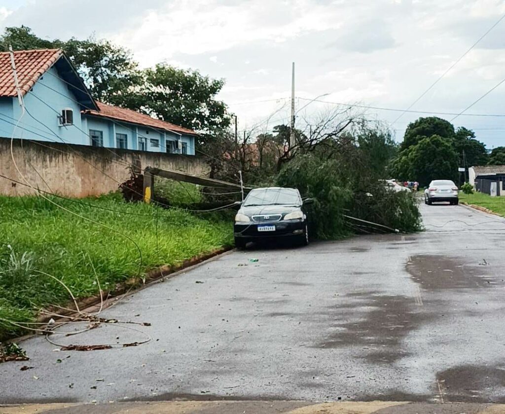 Temporal derruba árvores e inclusive poste de energia sobre veículo em Amambai Temporal derruba árvores e inclusive poste de energia sobre veículo em Amambai