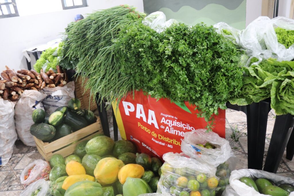 Prefeitura de Amambai realiza entrega de alimentos do PAA na Vila Limeira Prefeitura de Amambai realiza entrega de alimentos do PAA na Vila Limeira