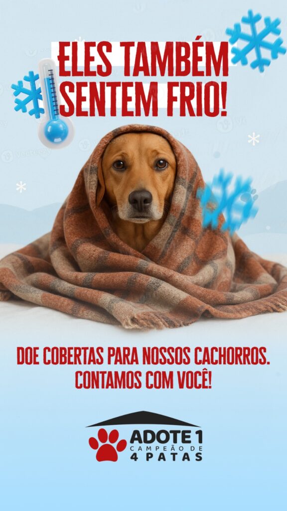 ONG Adote 1 Campeão de 4 Patas promove campanha de doação de cobertores em Amambai ONG Adote 1 Campeão de 4 Patas promove campanha de doação de cobertores em Amambai