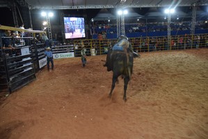 2ª ExpoIguatemi reuniu milhares de pessoas durante os três dias de comemoração pelos 60 anos do município