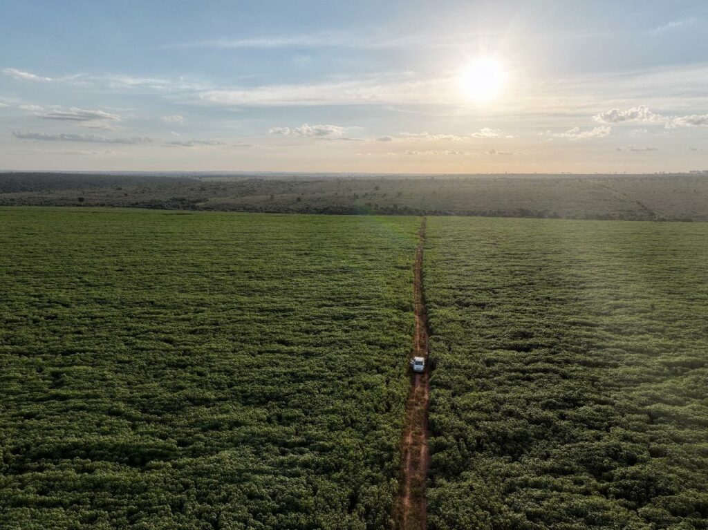 Presidente da Socipar-PR e secretário municipal de Desenvolvimento Econômico visitaram produção agrícola de Iguatemi Presidente da Socipar-PR e secretário municipal de Desenvolvimento Econômico visitaram produção agrícola de Iguatemi
