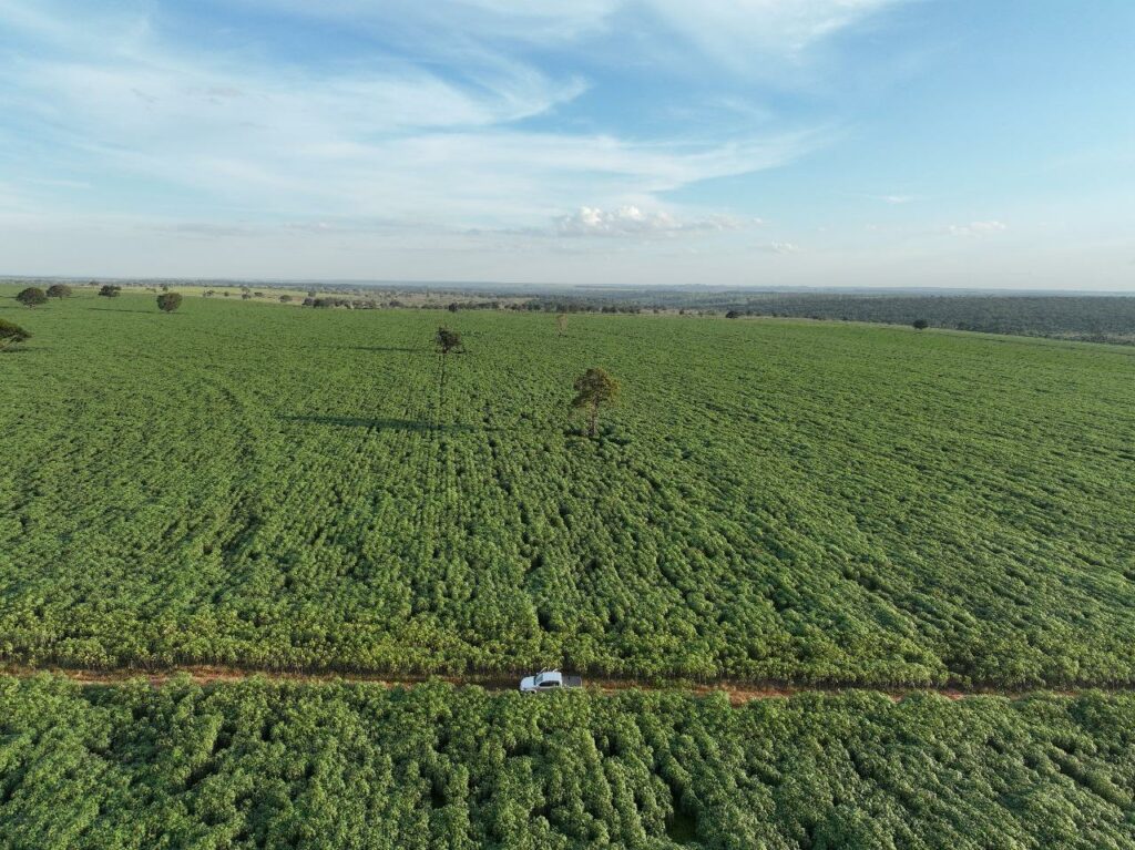 Presidente da Socipar-PR e secretário municipal de Desenvolvimento Econômico visitaram produção agrícola de Iguatemi Presidente da Socipar-PR e secretário municipal de Desenvolvimento Econômico visitaram produção agrícola de Iguatemi
