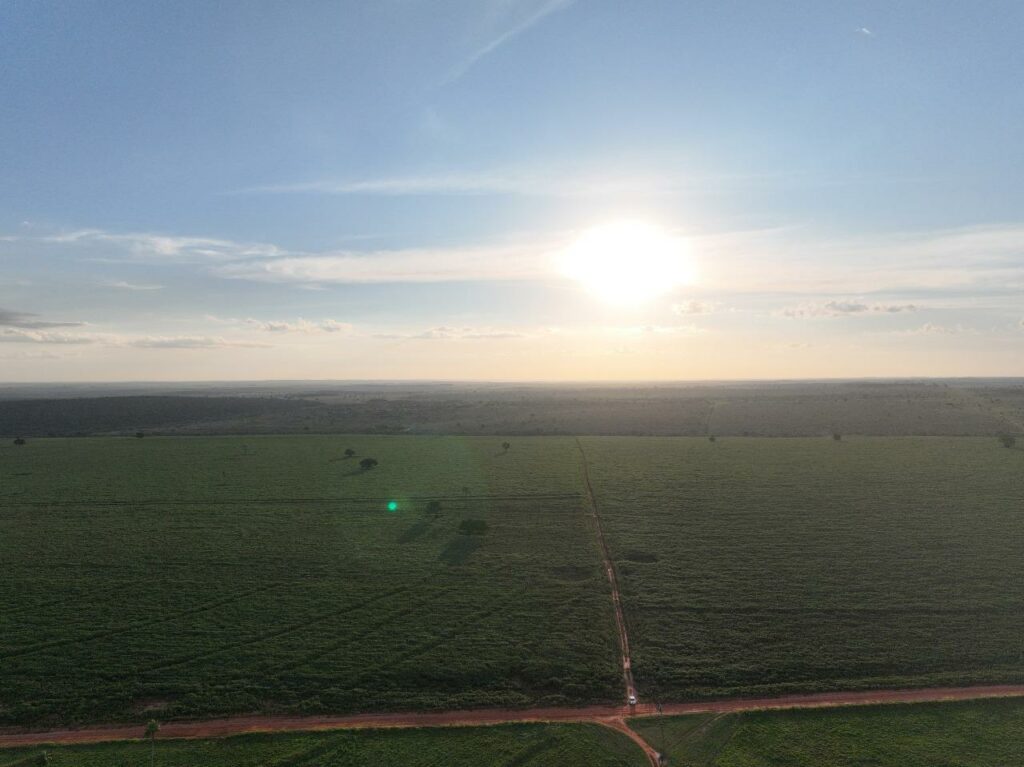 Presidente da Socipar-PR e secretário municipal de Desenvolvimento Econômico visitaram produção agrícola de Iguatemi Presidente da Socipar-PR e secretário municipal de Desenvolvimento Econômico visitaram produção agrícola de Iguatemi