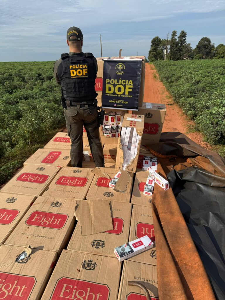 Carga milionária de cigarros contrabandeados é apreendida pelo DOF em Mundo Novo
