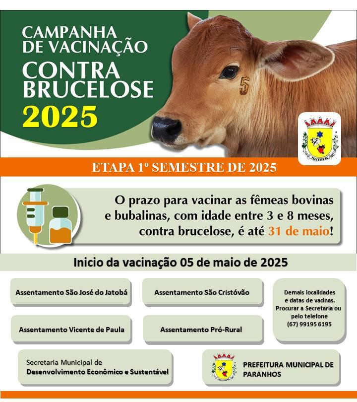 Campanha de Vacinação Contra Brucelose tem início em Paranhos