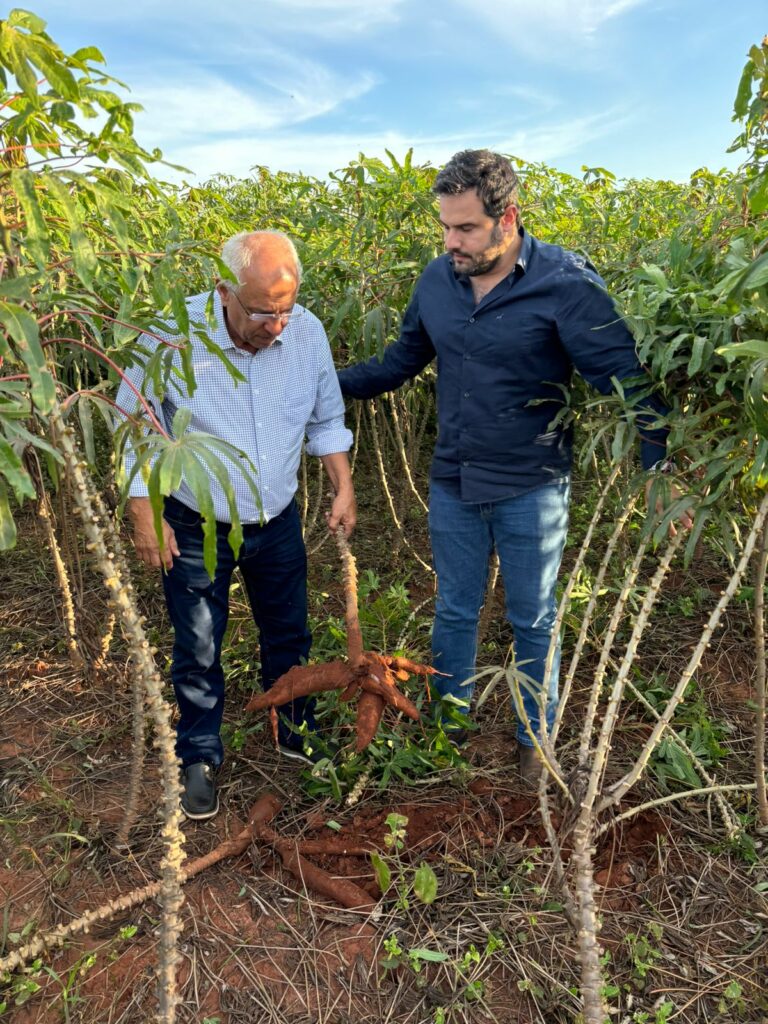 Presidente da Socipar-PR e secretário municipal de Desenvolvimento Econômico visitaram produção agrícola de Iguatemi Presidente da Socipar-PR e secretário municipal de Desenvolvimento Econômico visitaram produção agrícola de Iguatemi
