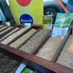 Agro Campo movimentou o setor agropecuário com Dia de Campo em Amambai