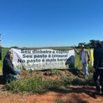 Agro Campo movimentou o setor agropecuário com Dia de Campo em Amambai