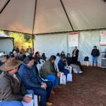 Agro Campo movimentou o setor agropecuário com Dia de Campo em Amambai