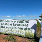 Agro Campo movimentou o setor agropecuário com Dia de Campo em Amambai