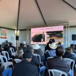Agro Campo movimentou o setor agropecuário com Dia de Campo em Amambai