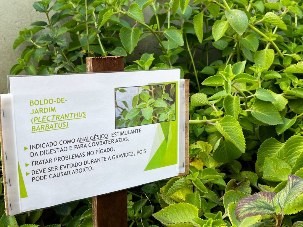 Amambai realiza Semana do Meio Ambiente com programação educativa nas escolas, praças e aldeias