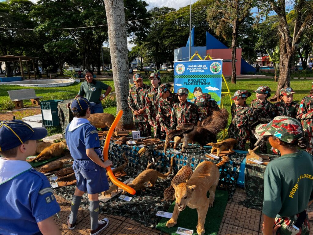 Amambai se une em Caminhada do Maio Laranja e diz não ao abuso infantil