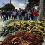 Amambai: Vila Cristina recebe mais uma entrega de alimentos do Programa de Aquisição de Alimentos (PAA)