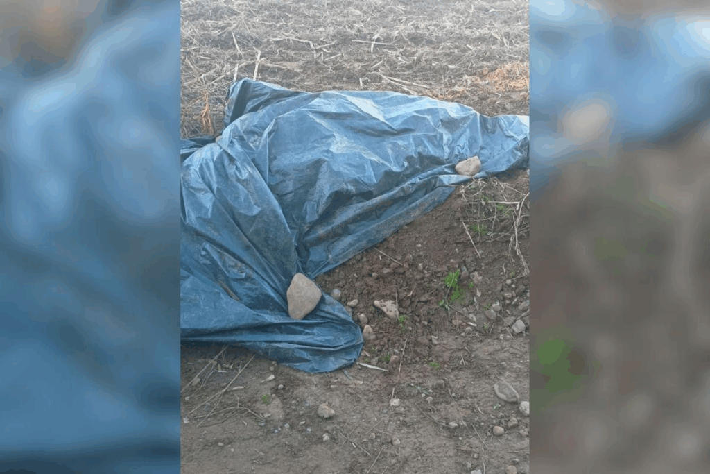 Queda de balão em Praia Grande: novas imagens mostram desespero durante acidente Queda de balão em Praia Grande: novas imagens mostram desespero durante acidente