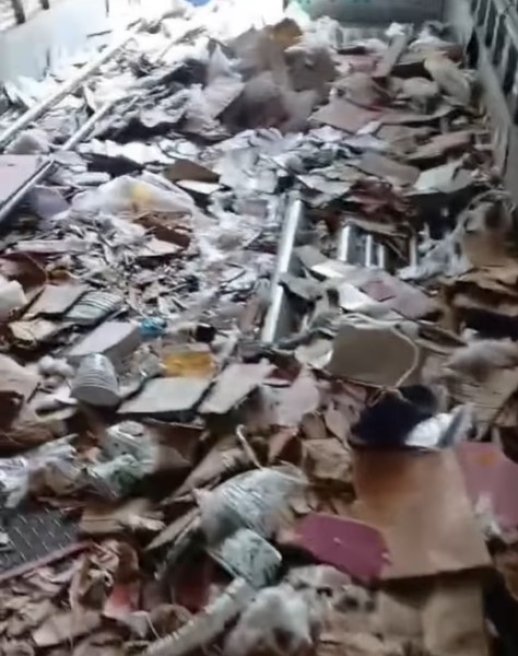 Vídeos flagram índios saqueando carga de caminhão em MT; assista
