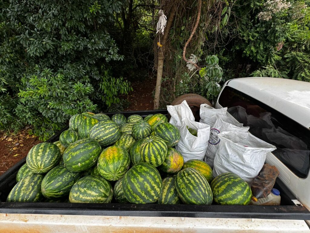 PAA em Aral Moreira: Alimentos da terra para quem mais precisa