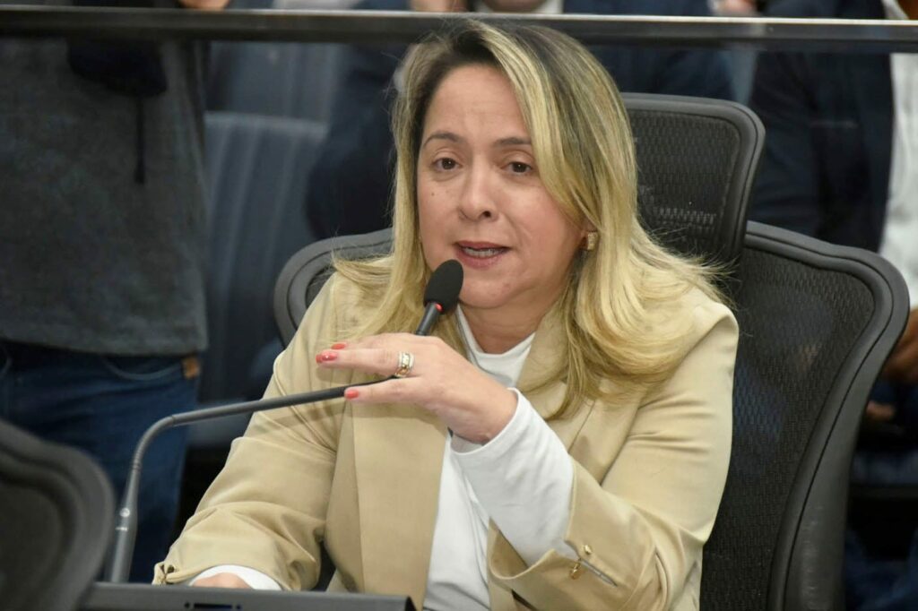 Buracos e insegurança na MS-475 motivam pedido de Lia Nogueira Buracos e insegurança na MS-475 motivam pedido de Lia Nogueira