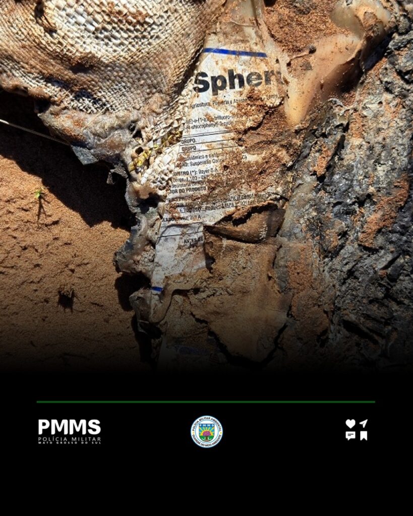 PMA flagra queima irregular de embalagens de agrotóxicos em Naviraí