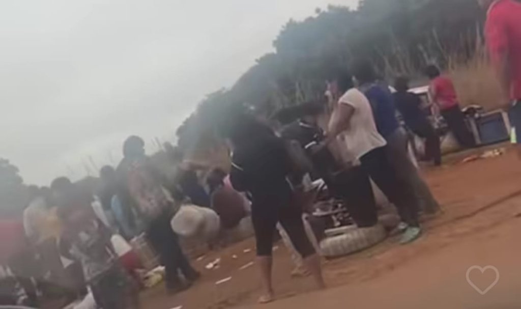 Vídeos flagram índios saqueando carga de caminhão em MT; assista