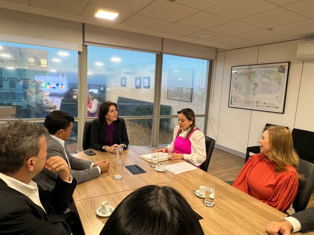 Cel. Sapucaia: Em Brasília, Niágara Kraievski e vereadores asseguram novos investimentos para pavimentação e a construção de um Centro de Convivência para idosos