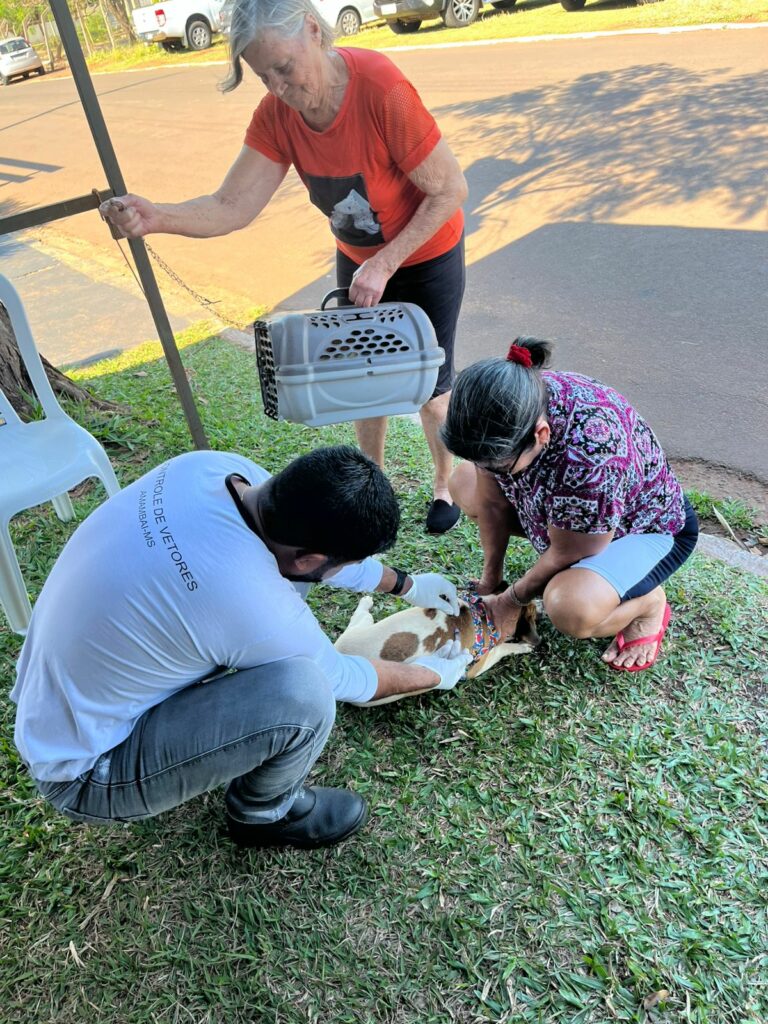 Secretaria de Saúde vacinou 260 animais durante o 1º Amaterra em Amambai Secretaria de Saúde vacinou 260 animais durante o 1º Amaterra em Amambai