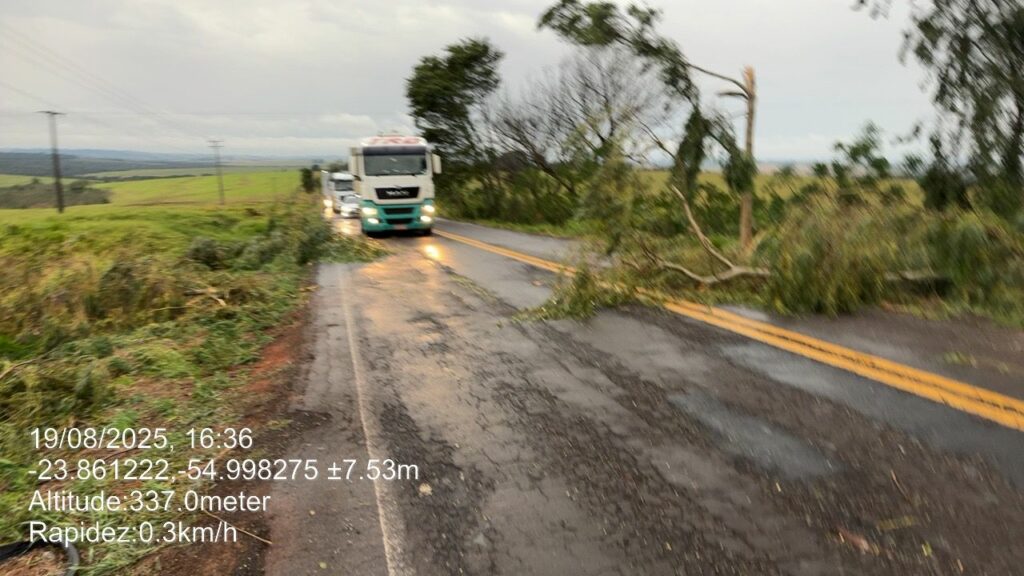 Temporal causa danos no Cone Sul: Árvores caíram sobre rodovias e Agesul pede atenção dos motoristas