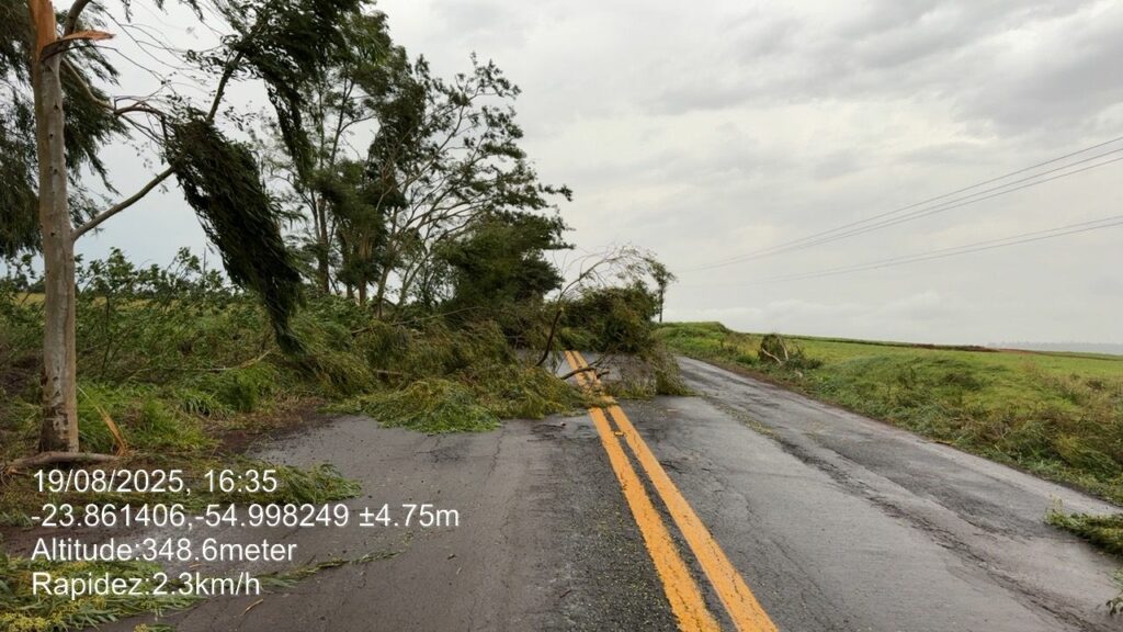 Temporal causa danos no Cone Sul: Árvores caíram sobre rodovias e Agesul pede atenção dos motoristas