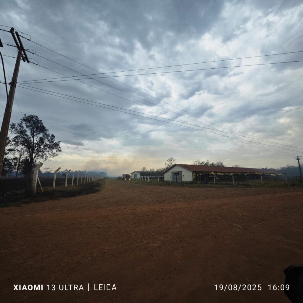 Incêndio de grandes proporções destrói vegetação nas proximidades da cidade em Amambai