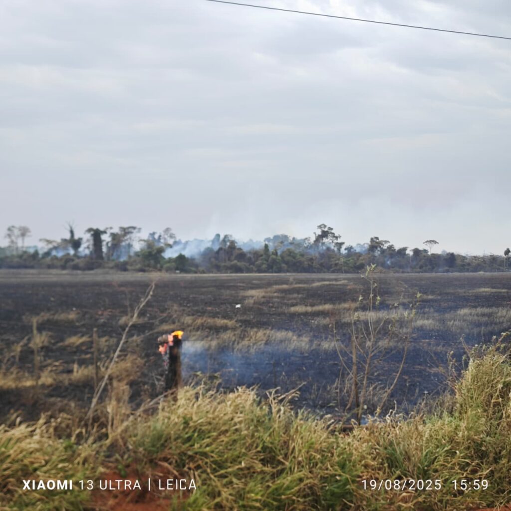 Incêndio de grandes proporções destrói vegetação nas proximidades da cidade em Amambai