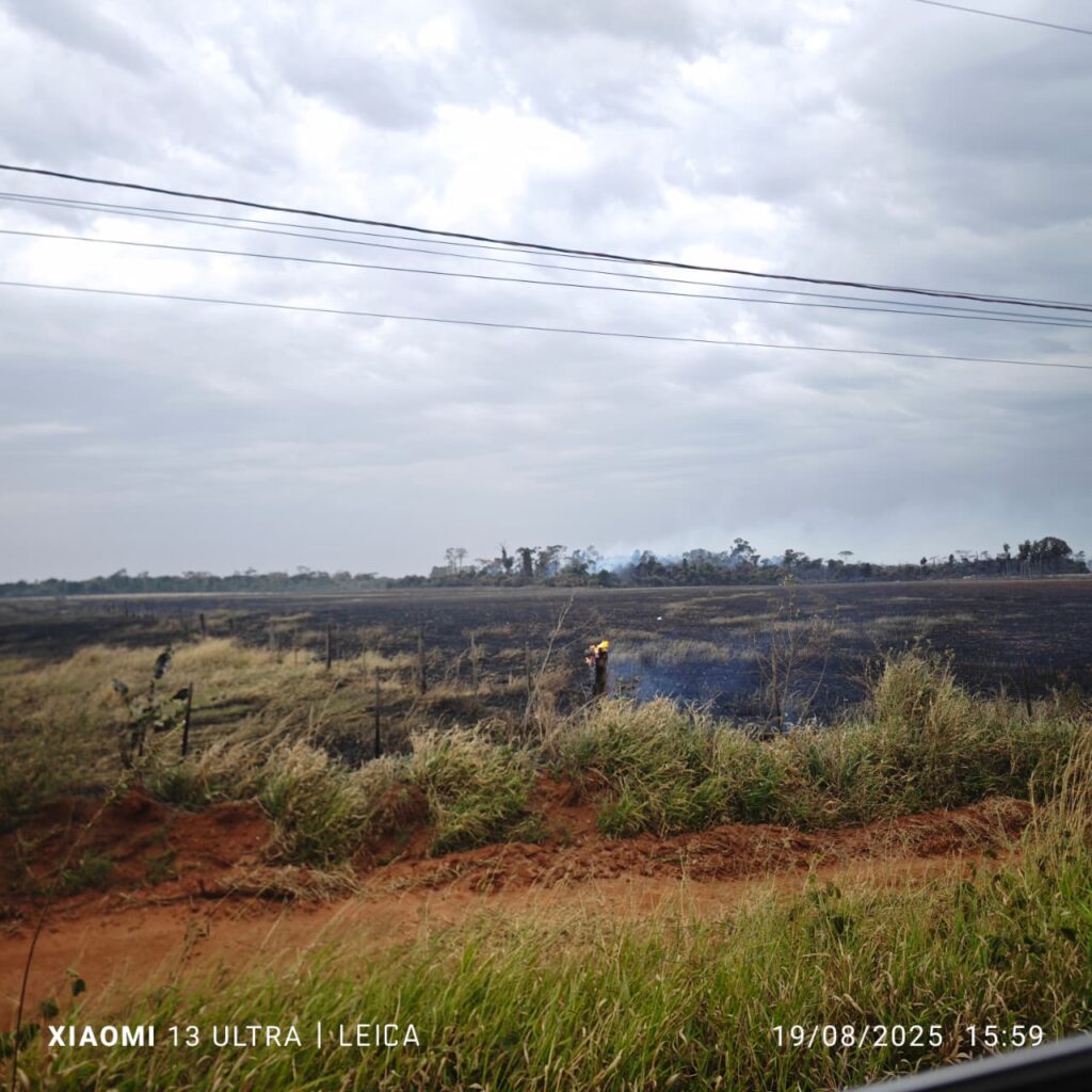 Incêndio de grandes proporções destrói vegetação nas proximidades da cidade em Amambai