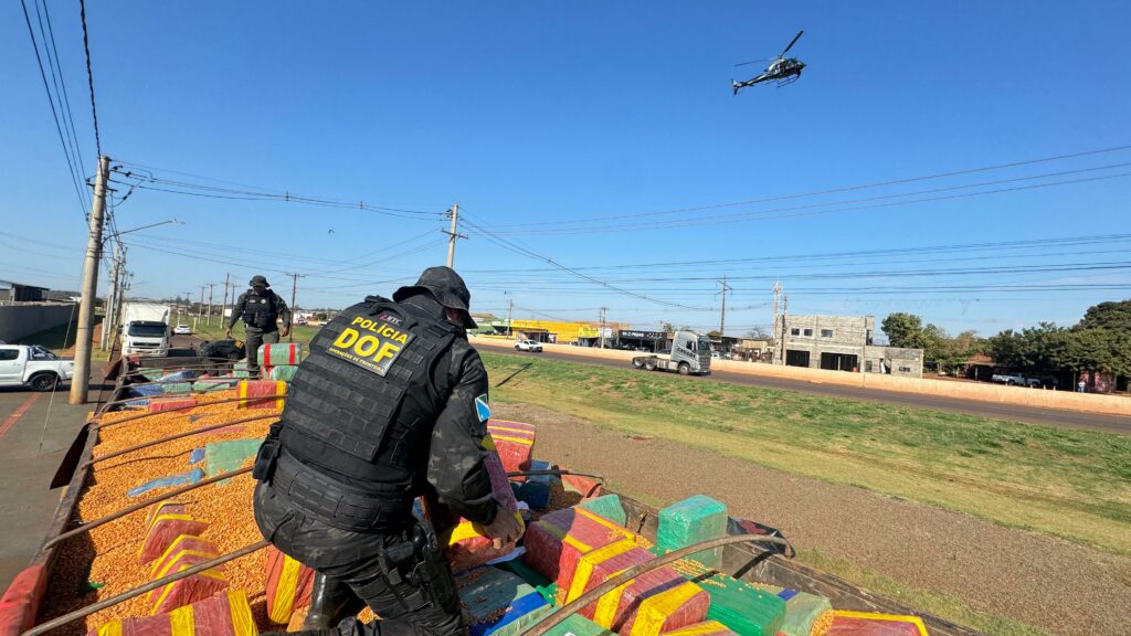 DOF apreende mais de 15 toneladas de drogas em meio a carregamento de milho em Amambai DOF apreende mais de 15 toneladas de drogas em meio a carregamento de milho em Amambai