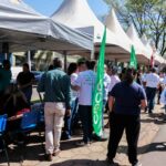 Naviraí: 1º Feirão de Empregos conecta trabalhadores à empresas e lança Qualificações
