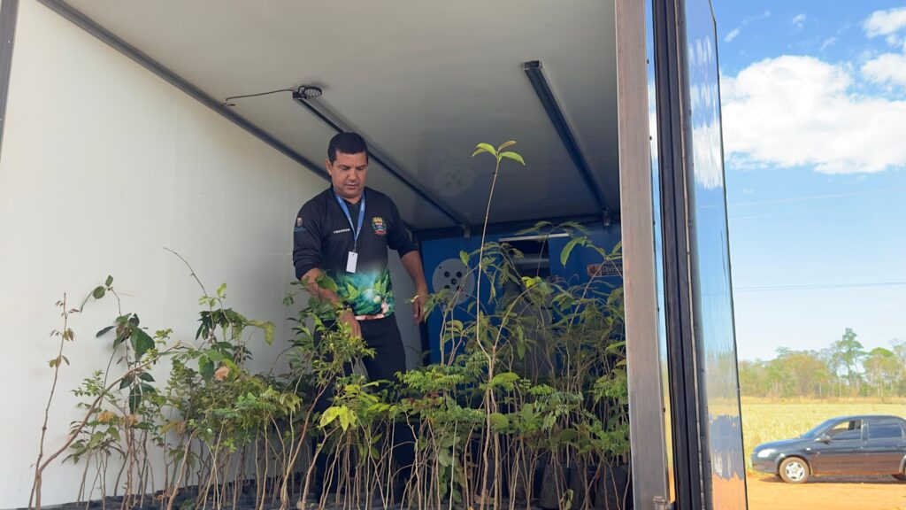 Prefeitura de Itaquiraí distribui mil mudas de árvores no Complexo Santo Antônio