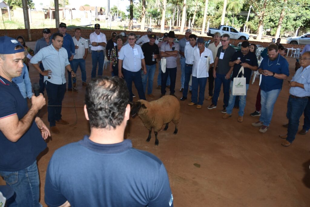 Prefeitura de Iguatemi promove 1º Encontro Técnico de Ovinocultura