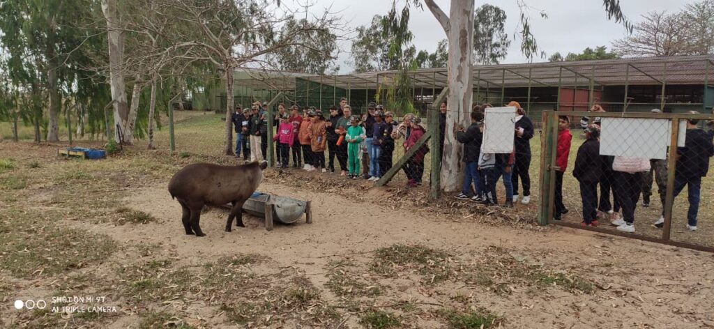 Projeto Florestinha de Amambai realiza dia de Educação Ambiental na Fazenda Green Farm, em Itaquiraí Projeto Florestinha de Amambai realiza dia de Educação Ambiental na Fazenda Green Farm, em Itaquiraí