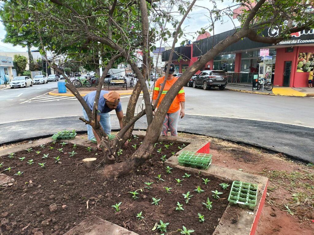 Secretaria de Meio Ambiente de Iguatemi realiza o plantio de mais de 1.500 mudas de plantas ornamentais na área central da cidade