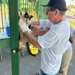 Dia D de Vacinação Antirrábica em Amambai é um sucesso com mais de 6 mil doses aplicadas Dia D de Vacinação Antirrábica em Amambai é um sucesso com mais de 6 mil doses aplicadas