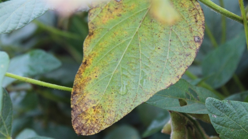 2e8d09571eea4ac0afcceb8cc1ef046e_858x483