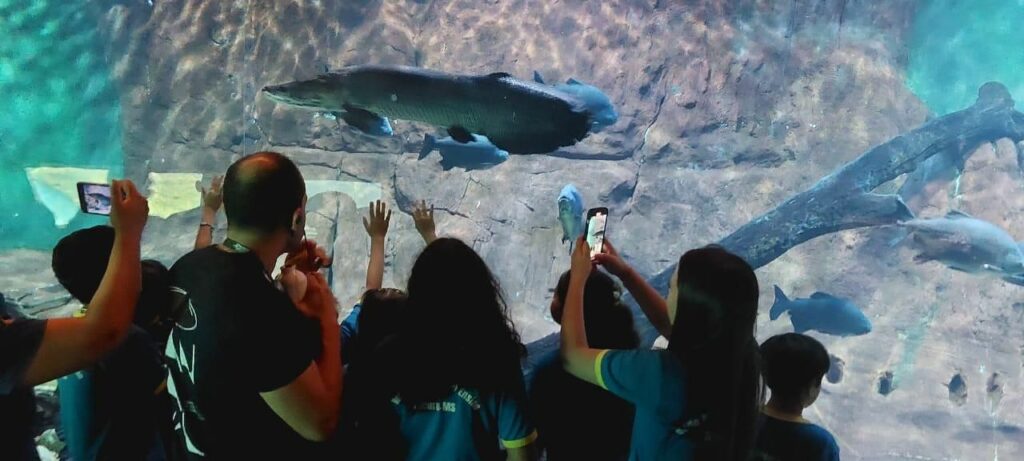 Tacuru: Projeto de Gestão leva alunos para expedição no Bioparque Pantanal