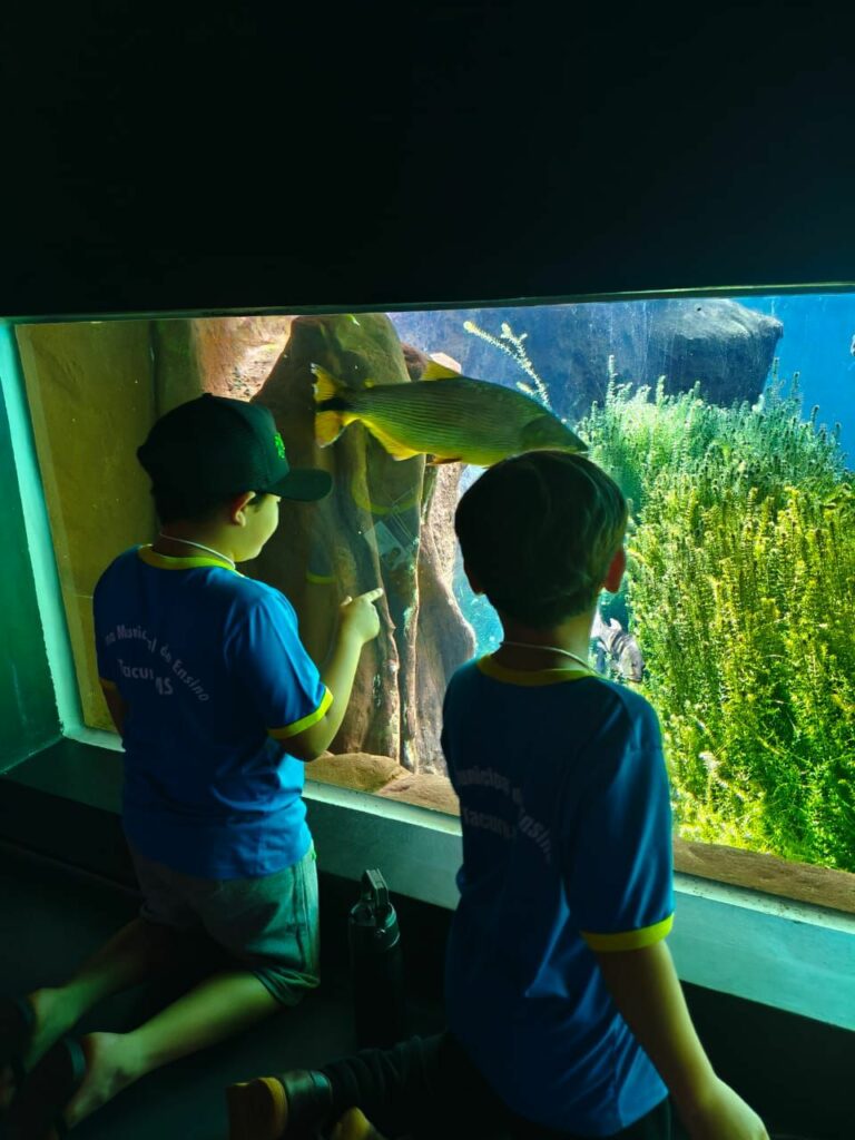 Tacuru: Projeto de Gestão leva alunos para expedição no Bioparque Pantanal