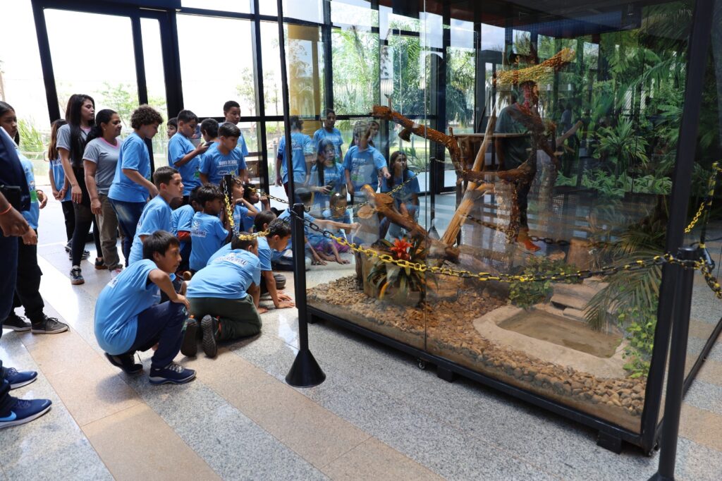 Iguatemi: Secretaria de Assistência Social proporciona visita ao Bioparque Pantanal em Campo Grande para os alunos do Programa Novo Olhar Iguatemi: Secretaria de Assistência Social proporciona visita ao Bioparque Pantanal em Campo Grande para os alunos do Programa Novo Olhar