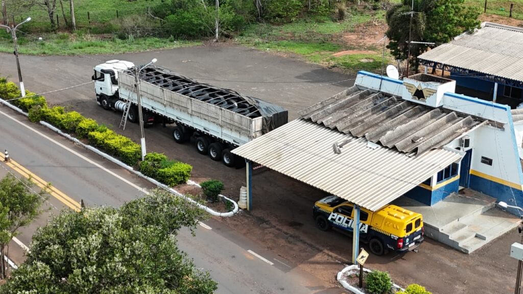 Ação conjunta da PM de Eldorado e Amambai apreende caminhão com pneus contrabandeados