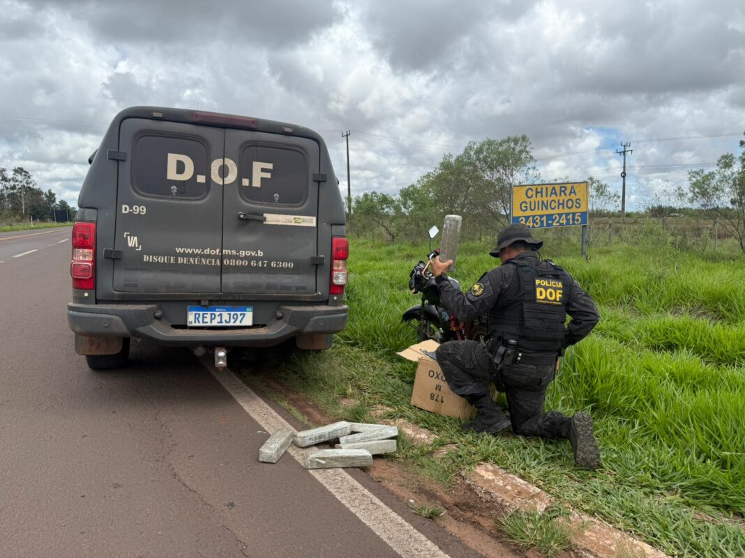 Imagem do WhatsApp de 2025-10-29 à(s) 08.27.39_16900d1d