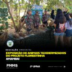 Exposição de animais taxidermizados do Projeto Florestinha em Amambai