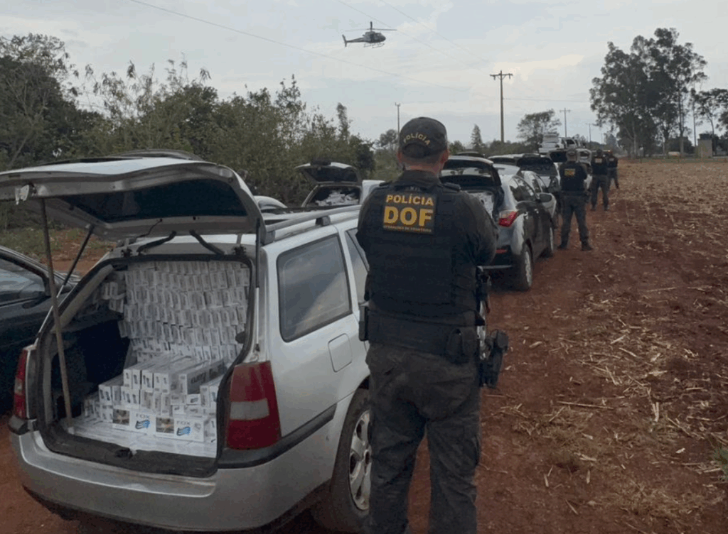 Ponta Porã: DOF localiza entreposto de contrabandistas e apreende 17 veículos carregados com materiais ilegais