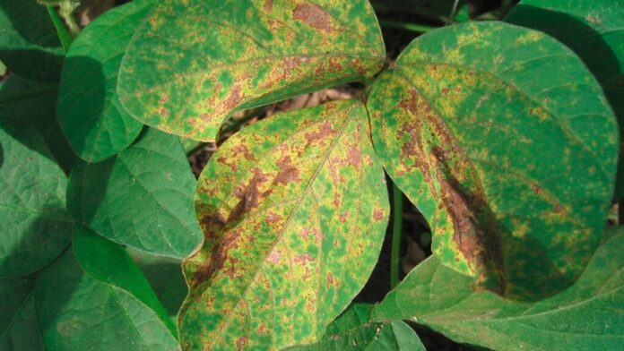 3b557ce33176461a966976cbd9c25e17_858x483