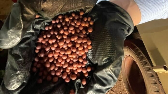 502e3e35f87b451d8bf8974f092d27be_858x483