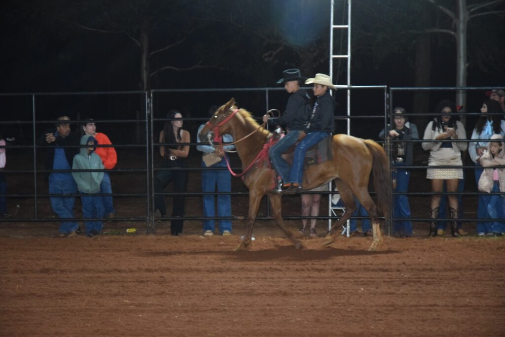 Iguatemi: Com três dias de competição e participação de 42 peões, 1º Rodeio Fest Show movimentou Assentamento Colorado e região