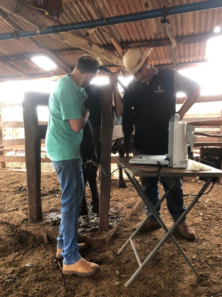 Secretaria de Desenvolvimento Econômico da Prefeitura de Iguatemi intensifica atendimentos veterinários aos produtores rurais